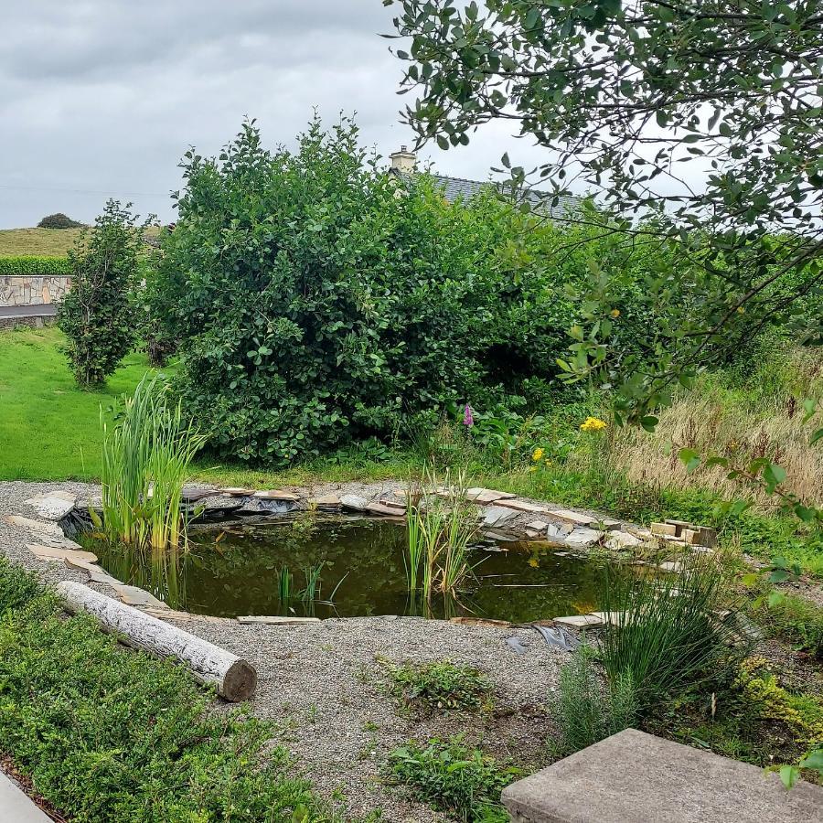 Bed and Breakfast Ros Na Gcloch Westport Esterno foto